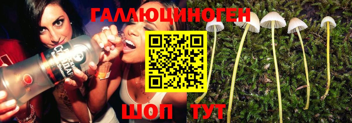 Псилоцибиновые грибы GOLDEN TEACHER Балтийск