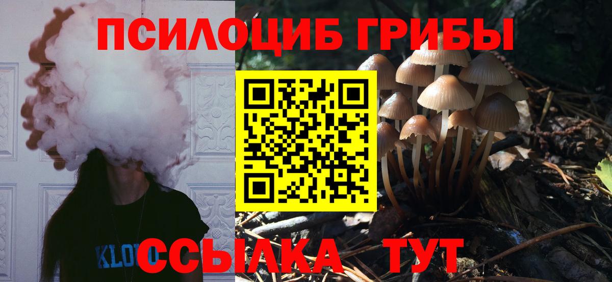 Балтийск  Псилоцибиновые грибы прущие грибы  Вход с VPN  Псилоцибиновые грибы ЛСД 